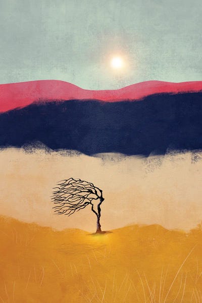 Viviana Gonzalez: Sunset And The Tree by Viviana Gonzalez