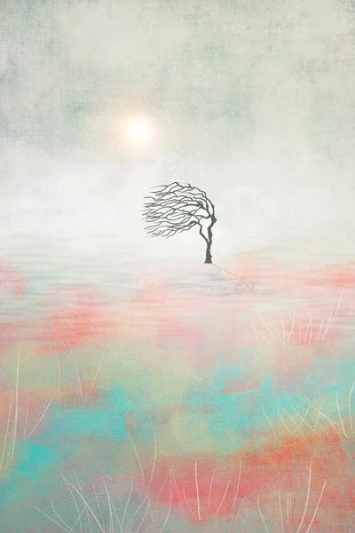 Sunset And The Tree II by Viviana Gonzalez framed canvas print