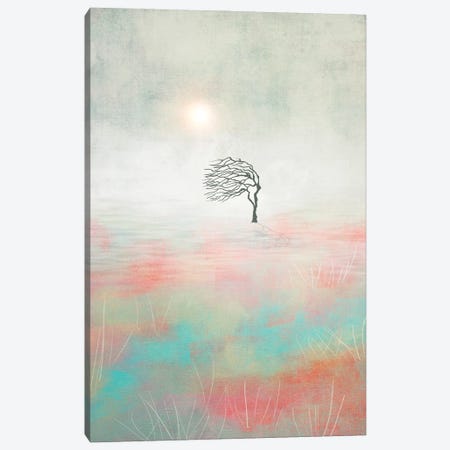 Sunset And The Tree II Canvas Print #VGO239} by Viviana Gonzalez Canvas Art