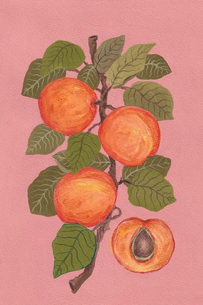 Peaches by Viviana Gonzalez canvas print