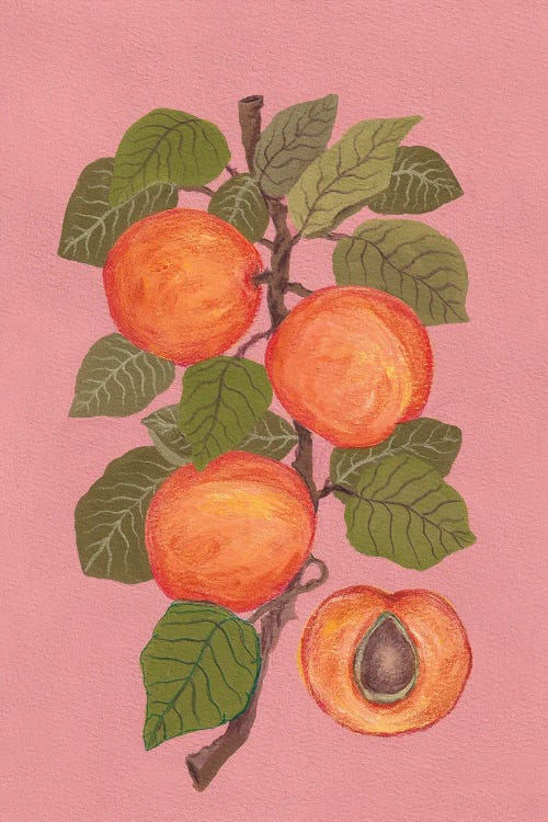 Peaches