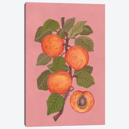 Peaches Canvas Print #VGO242} by Viviana Gonzalez Art Print