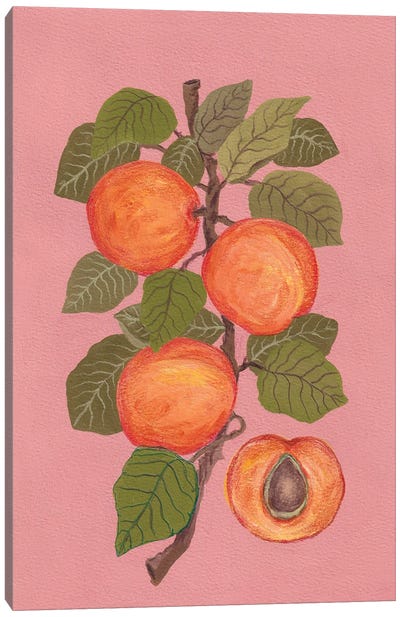 Peaches Canvas Art Print - Viviana Gonzalez