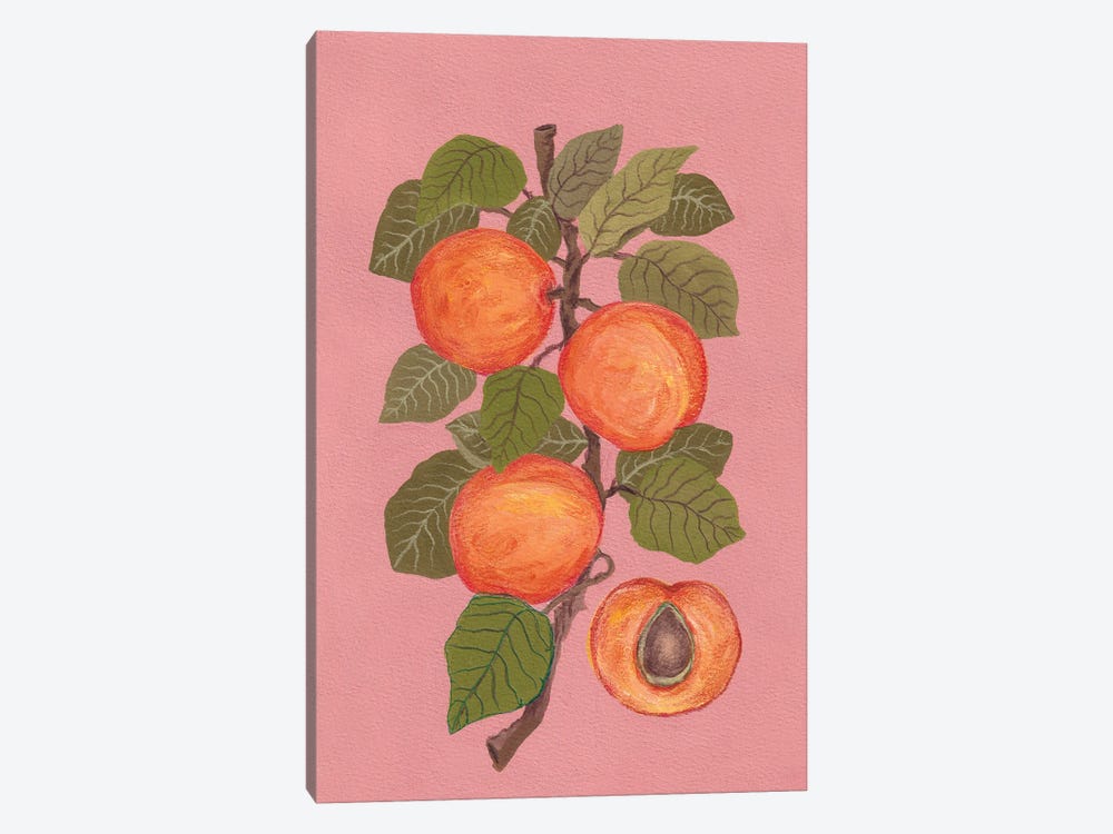 Peaches by Viviana Gonzalez 1-piece Canvas Art Print