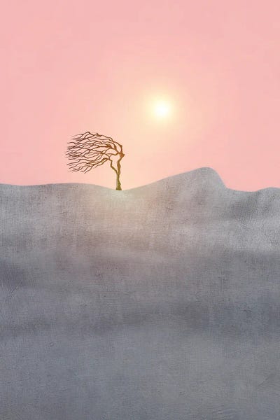 Viviana Gonzalez: Minimal Landscape I by Viviana Gonzalez