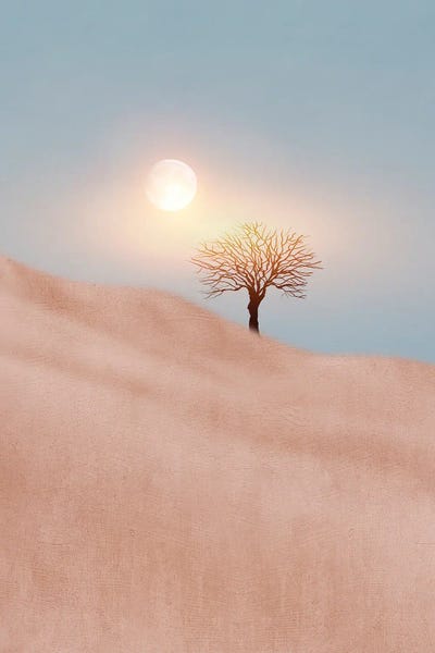 Viviana Gonzalez: Minimal Landscape II by Viviana Gonzalez