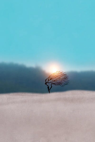 Viviana Gonzalez: Minimal Landscape III by Viviana Gonzalez