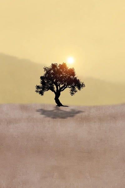 Viviana Gonzalez: Minimal Landscape IV by Viviana Gonzalez