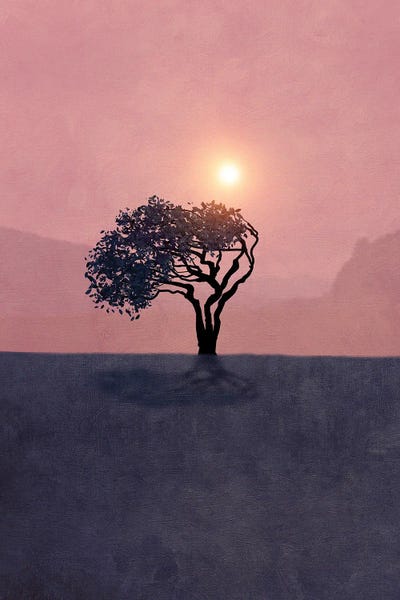 Viviana Gonzalez: Minimal Landscape V by Viviana Gonzalez