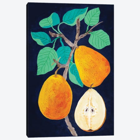 Pears Canvas Print #VGO249} by Viviana Gonzalez Art Print