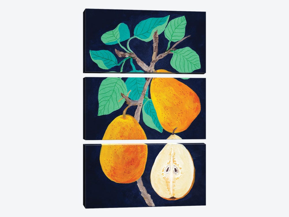 Pears by Viviana Gonzalez 3-piece Canvas Art
