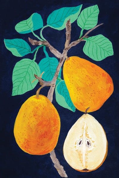 Viviana Gonzalez: Pears by Viviana Gonzalez