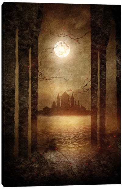 The Moon Is Singing Canvas Art Print