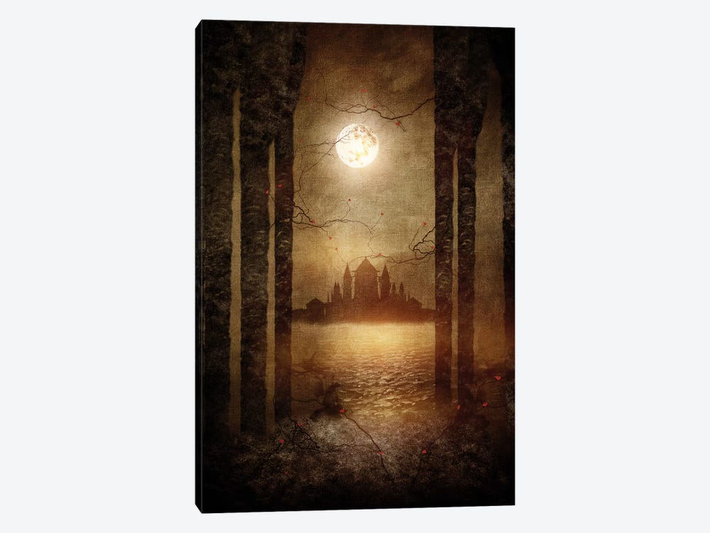 The Moon Is Singing by Viviana Gonzalez 1-piece Canvas Print