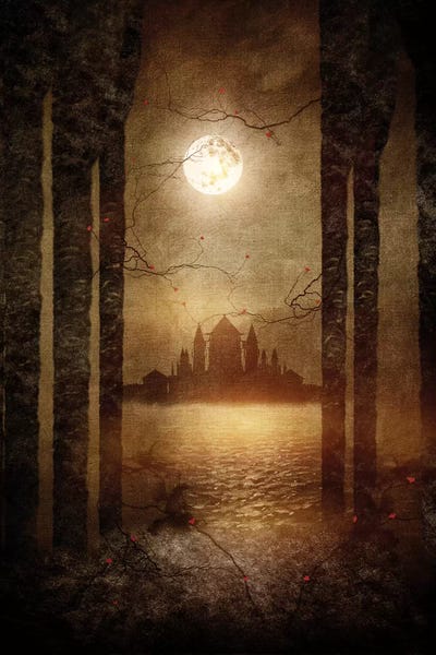 Viviana Gonzalez: The Moon Is Singing by Viviana Gonzalez