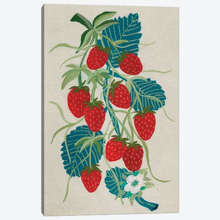 Strawberries Canvas Print #VGO250} by Viviana Gonzalez Canvas Art