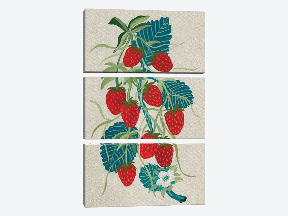 Strawberries by Viviana Gonzalez 3-piece Canvas Artwork