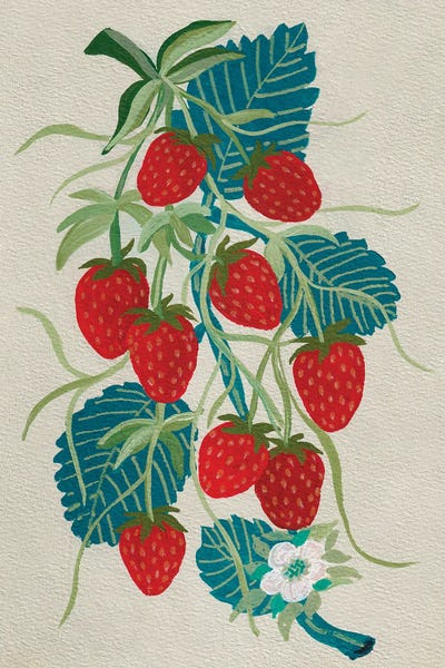 Viviana Gonzalez: Strawberries by Viviana Gonzalez