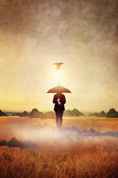 Waiting For The Rain by Viviana Gonzalez wall art