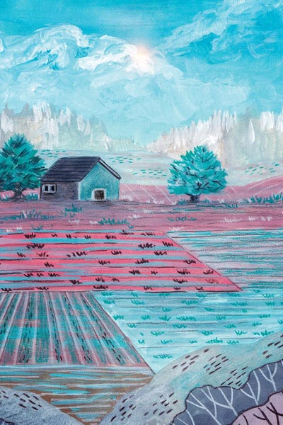 Farmland III by Viviana Gonzalez framed canvas print