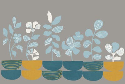 Aesthetic Nature II by Viviana Gonzalez framed canvas print