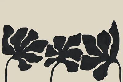 Aesthetic Nature V by Viviana Gonzalez framed canvas print