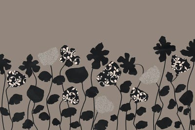 Aesthetic Nature VI by Viviana Gonzalez framed canvas print