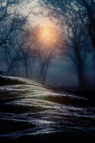 Halloween: From Small Beginnings And Big Endings I by Viviana Gonzalez