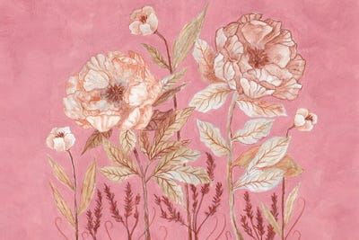 Botanica In Pink by Viviana Gonzalez framed canvas print