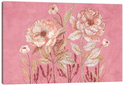 Botanica In Pink Canvas Art Print - Viviana Gonzalez