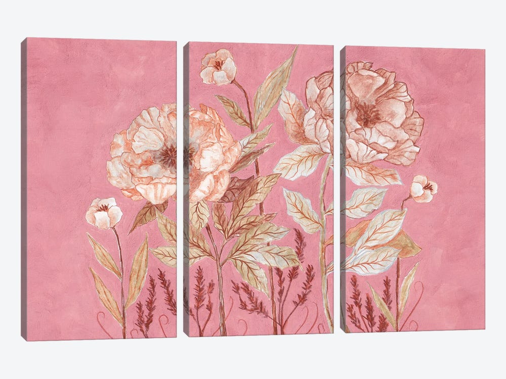 Botanica In Pink by Viviana Gonzalez 3-piece Canvas Art