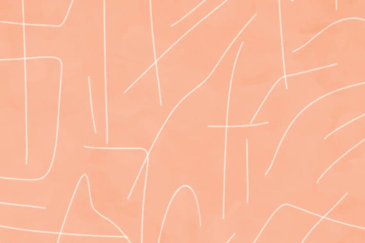 Peach Lineal Abstract by Viviana Gonzalez wall art