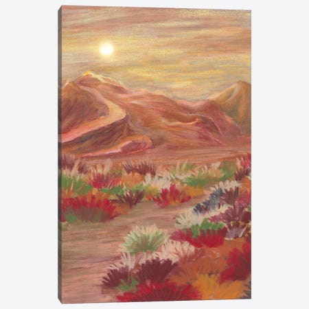 Boho Sunset Landscape Canvas Print #VGO311} by Viviana Gonzalez Art Print