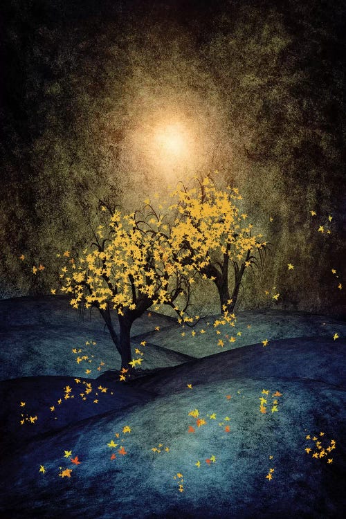 Yellow Autumn by Viviana Gonzalez wall art
