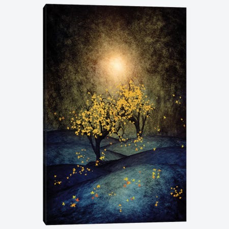 Yellow Autumn Canvas Print #VGO32} by Viviana Gonzalez Canvas Wall Art