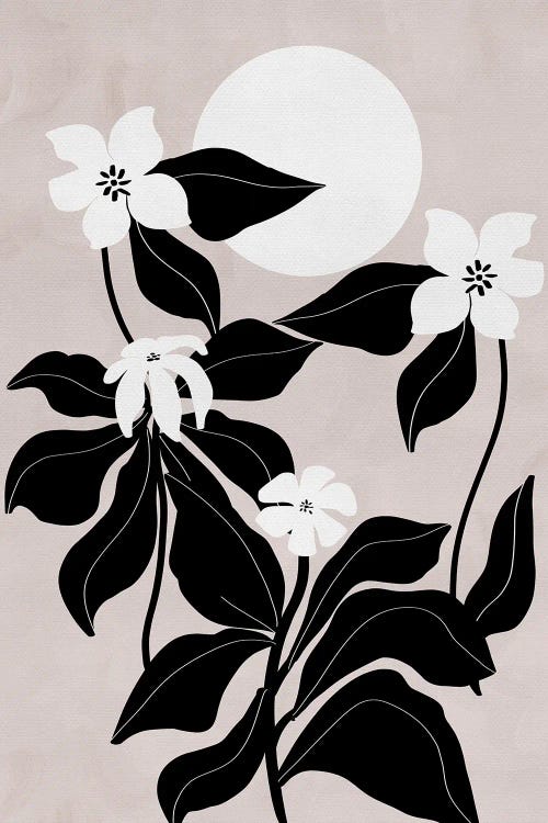 White Wildflowers by Viviana Gonzalez wall art