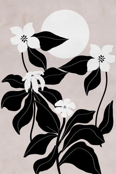 Viviana Gonzalez: White Wildflowers by Viviana Gonzalez