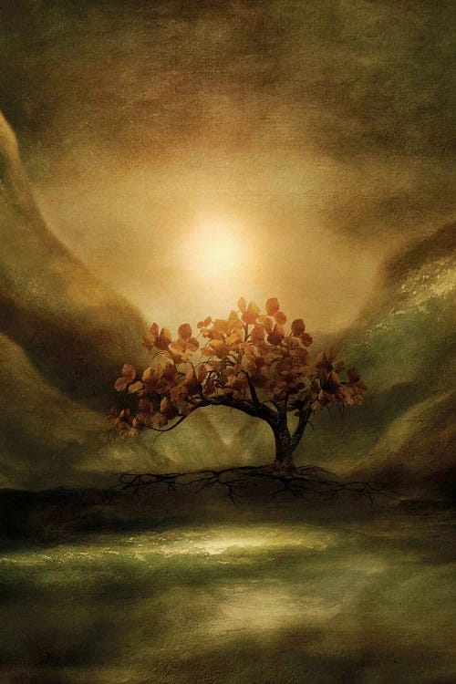 Advice From A Tree by Viviana Gonzalez wall art