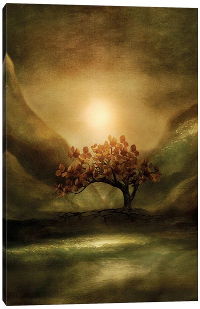 Advice From A Tree Canvas Art Print - Mountain Sunrise & Sunset Art
