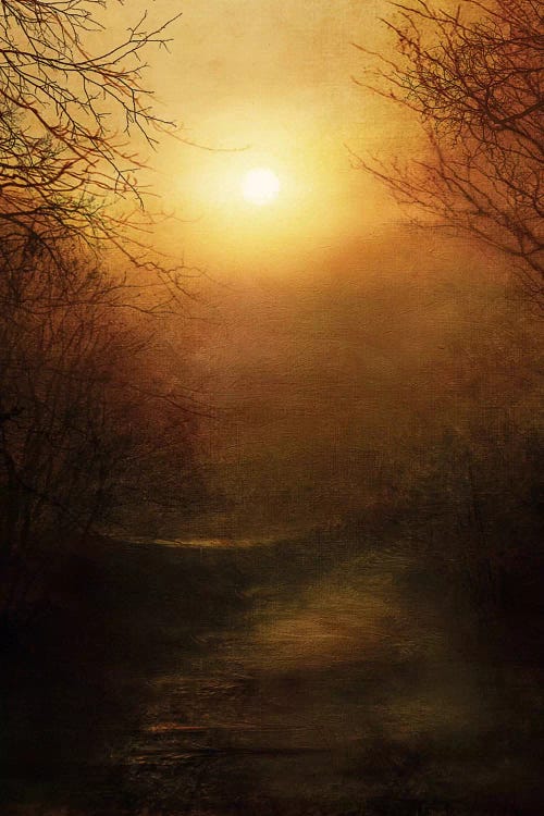April Ethereal by Viviana Gonzalez wall art