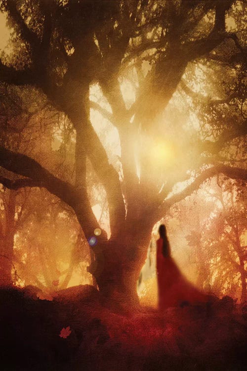 Autumn Song by Viviana Gonzalez wall art