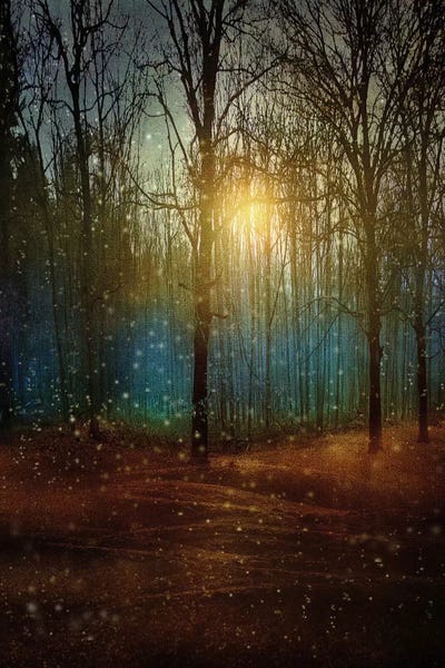 Beautiful Winter by Viviana Gonzalez framed canvas print