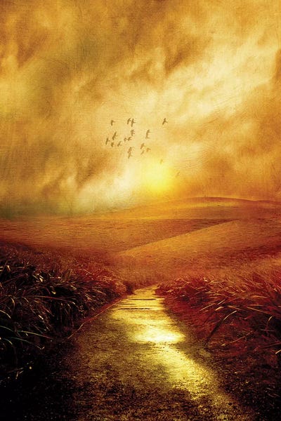 Hillsides: Colors Of Spring by Viviana Gonzalez