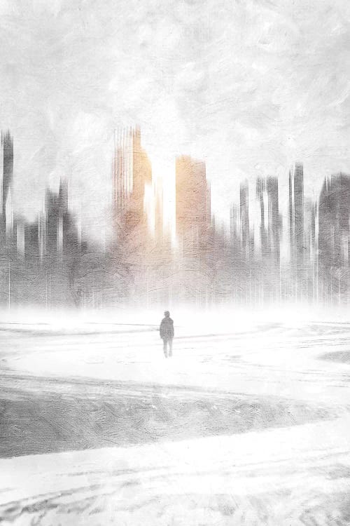 Grey Hope by Viviana Gonzalez wall art