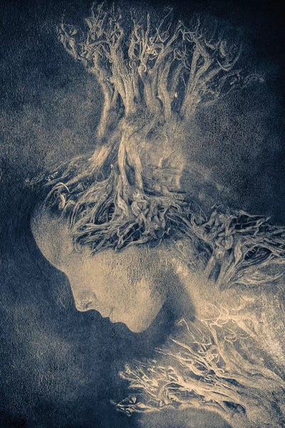 Viviana Gonzalez: Dark Portrait I by Viviana Gonzalez