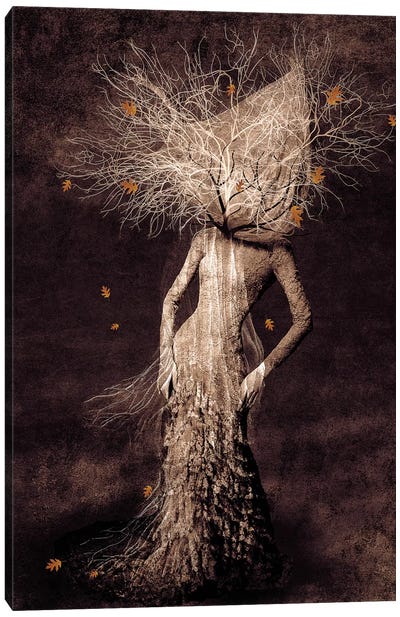 Dark Portrait In Autumn Canvas Art Print - Viviana Gonzalez