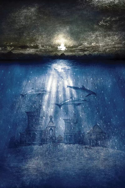 Dolphins: Dolphins, Civilization by Viviana Gonzalez