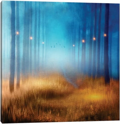 Blue Melody… Canvas Art Print - Mist & Fog Art
