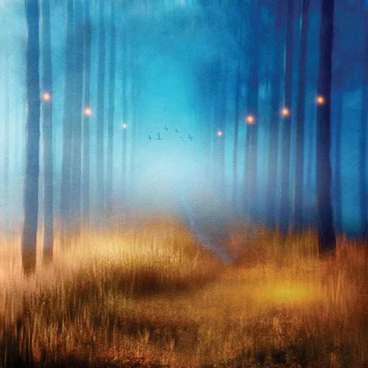 Blue Melody… by Viviana Gonzalez wall art