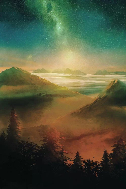Into The Trees by Viviana Gonzalez wall art